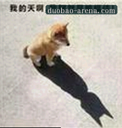徐婷